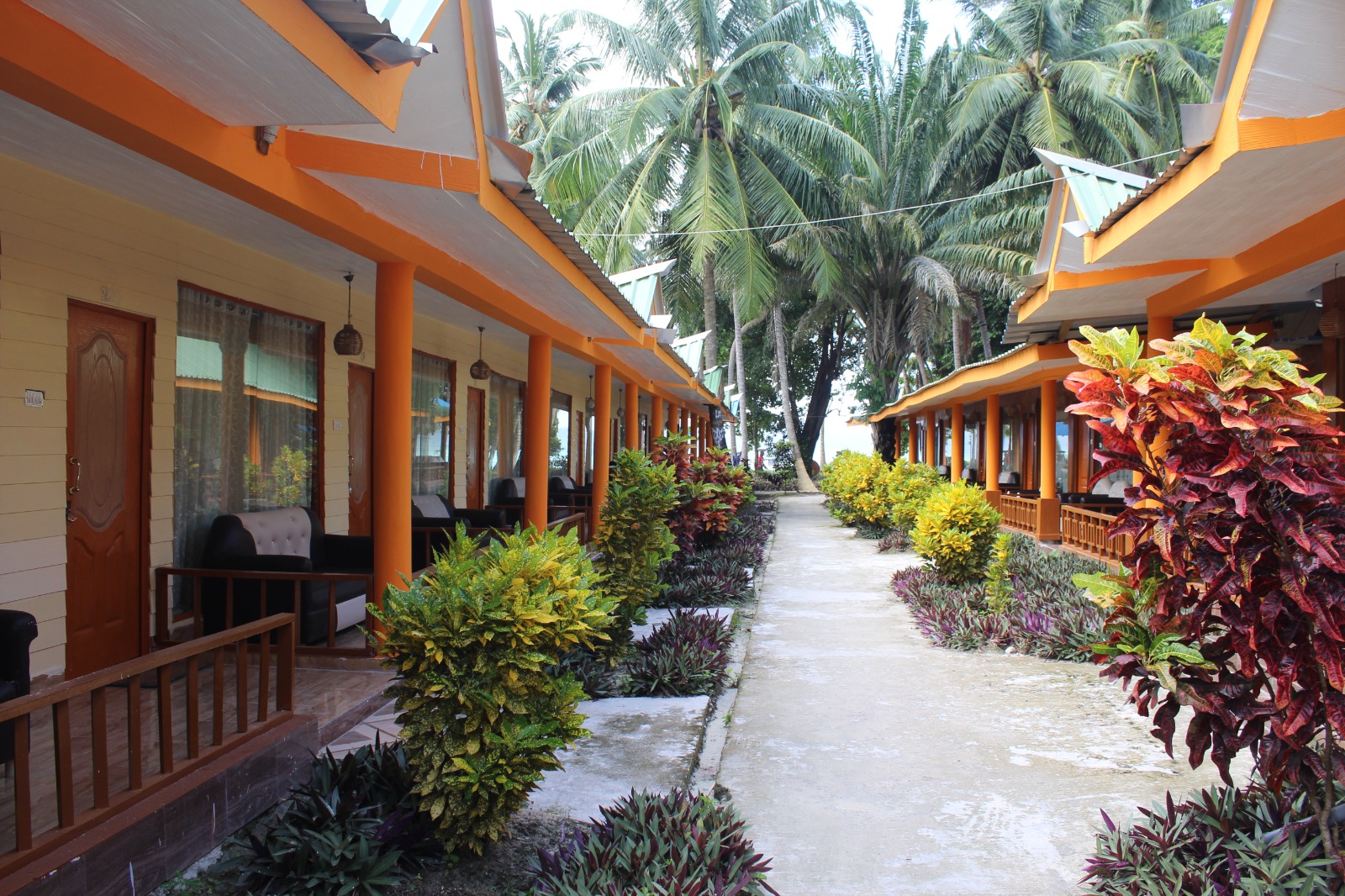 Palm-lined walkway between resort rooms