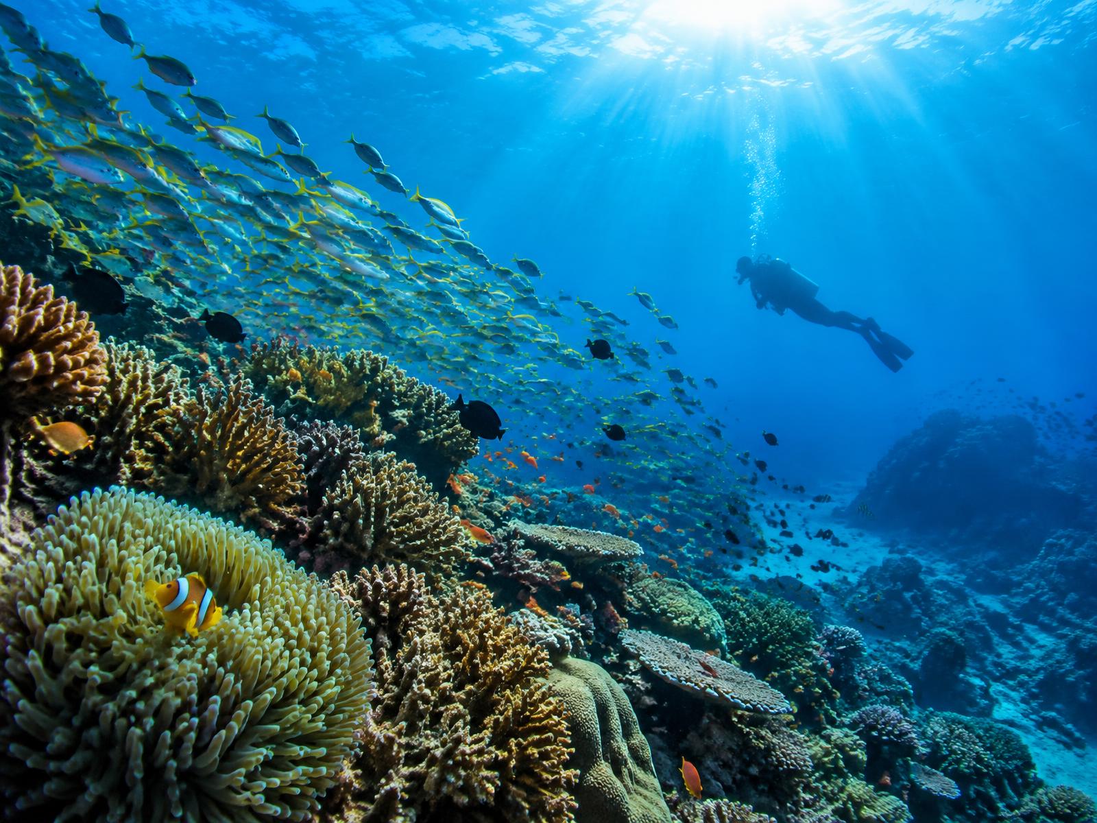 snorkelling & water activities